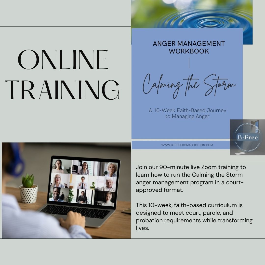 Calming the Storm: Anger Management Facilitator Training