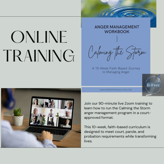 Calming the Storm: Anger Management Facilitator Training
